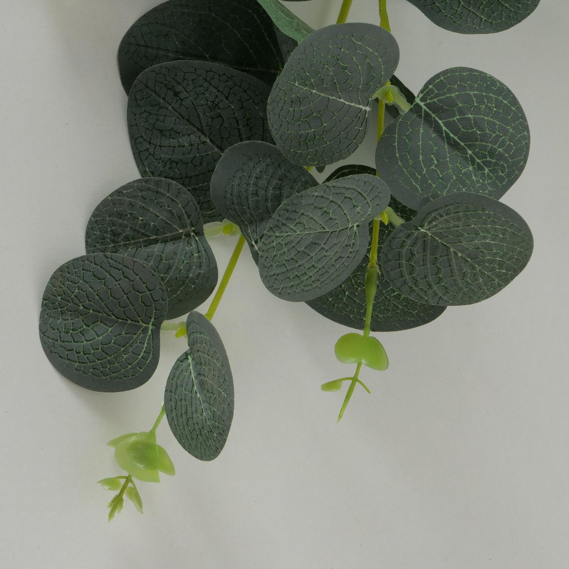 Boltze guirlande de plantes d'intérieur eucalyptus l75cm