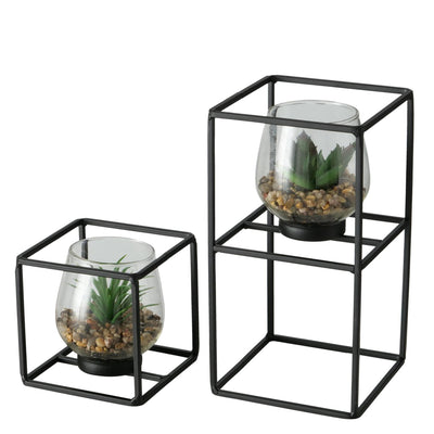 Boltze plante d'intérieur dans un support en verre, lot de 2 pièces