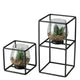 Boltze plante d'intérieur dans un support en verre, lot de 2 pièces