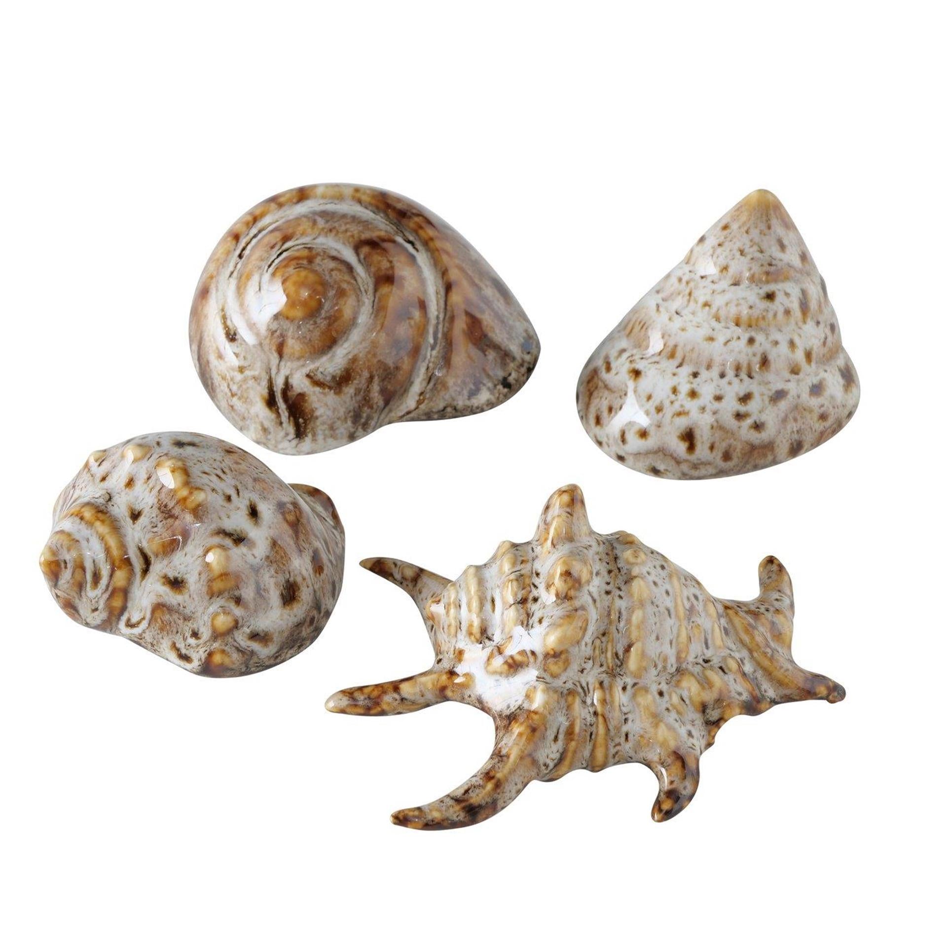 Coquille déco maison Boltze 7x6x4cm