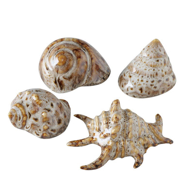 Coquille déco maison Boltze 7x6x4cm