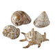 Coquille déco maison Boltze 7x6x4cm