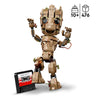 Lego LEGO Super Heroes 76217 Je suis grand