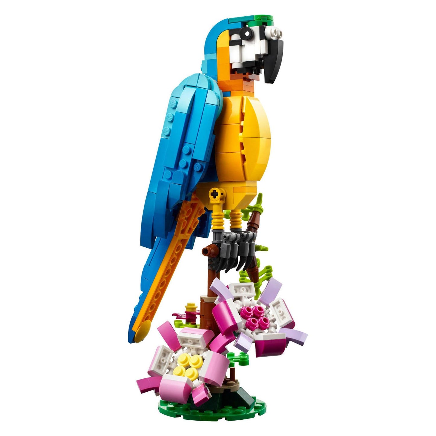 Créateur LEGO LEGO 31136 PARROT EXOTIQUE