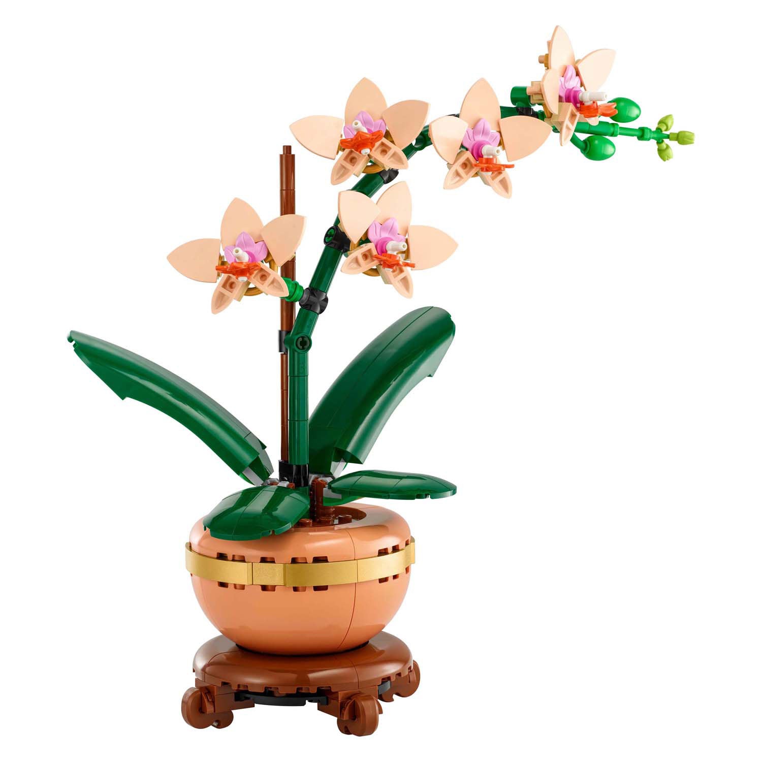 LEGO LEGO BOTANICALS 10343 MINIORCHID
