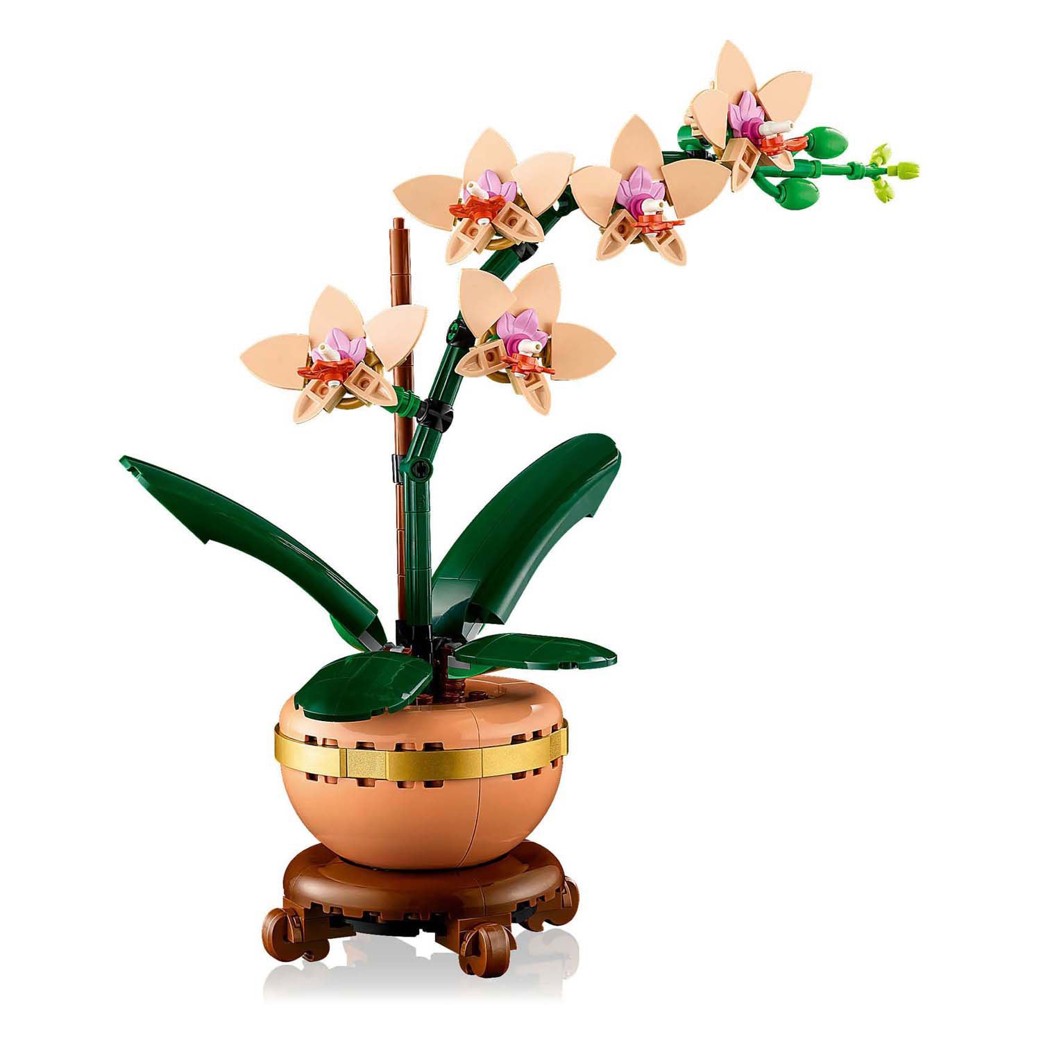 LEGO LEGO BOTANICALS 10343 MINIORCHID