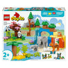 LEGO LEGO DUPLO TOWN 10446 3-en-1 Familles de Wild Dieren