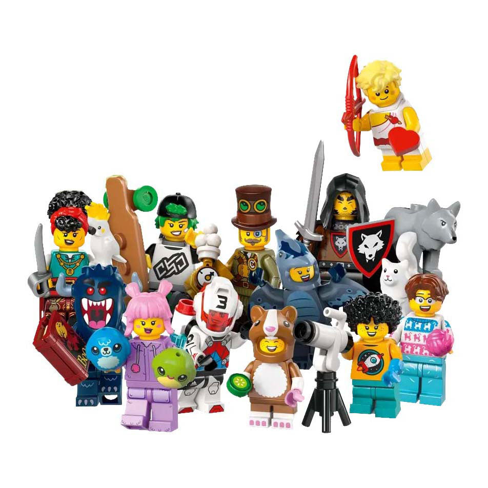MINIFIGURE LEGO 71048 Série 27