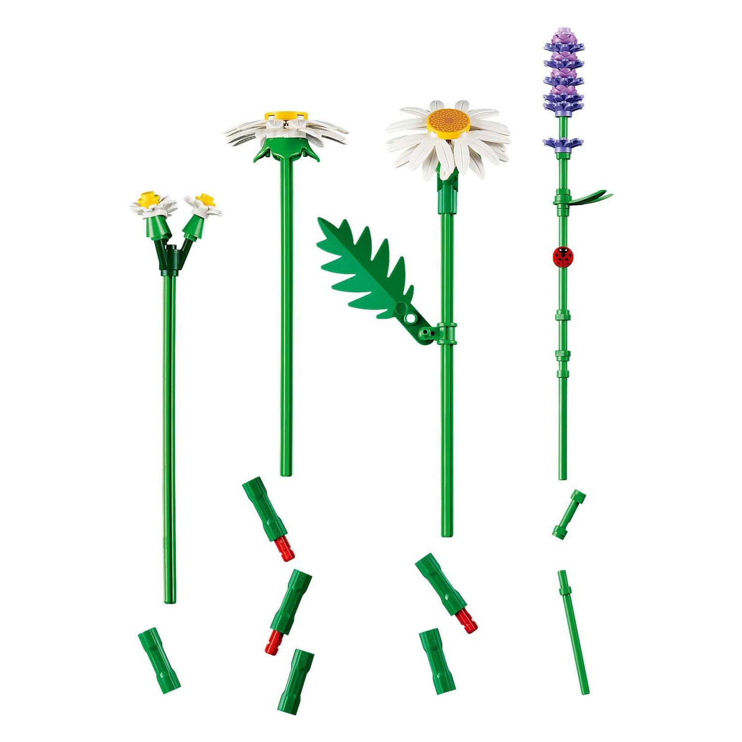 Lego botaniques 11508 fleurs de marguerites