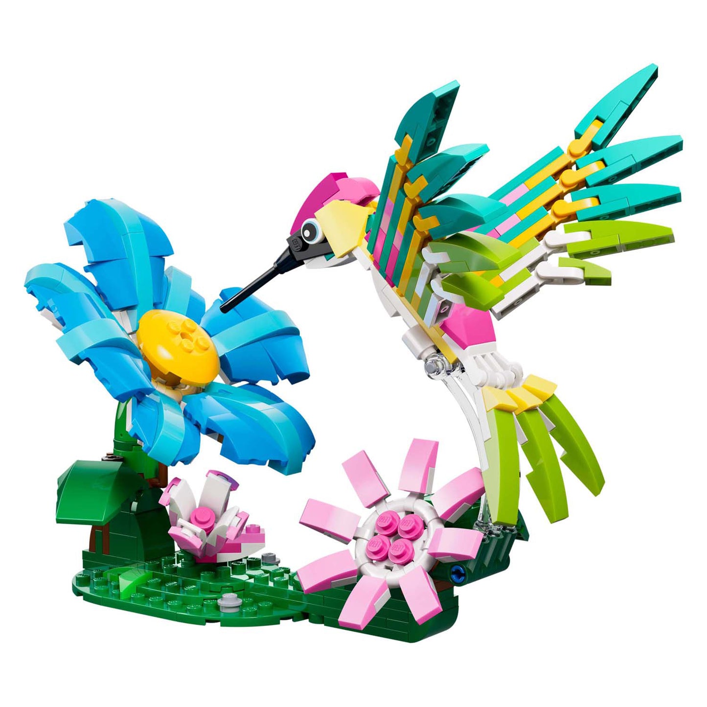 Lego Creator 31384 animaux sauvages : colibri coloré