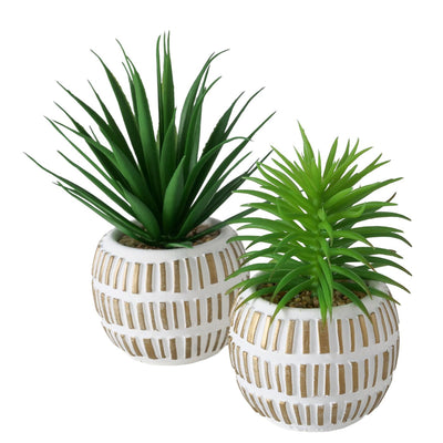 Boltze home plante artificielle plante succulente h13,3cm