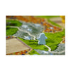 999 Games Carcassonne de Mist Bordspel