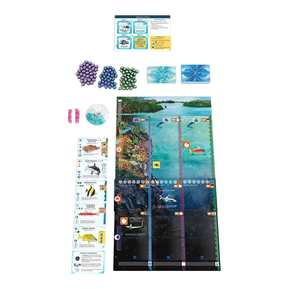 999games 999 jeux finspan extension : requins et récifs jeu de société