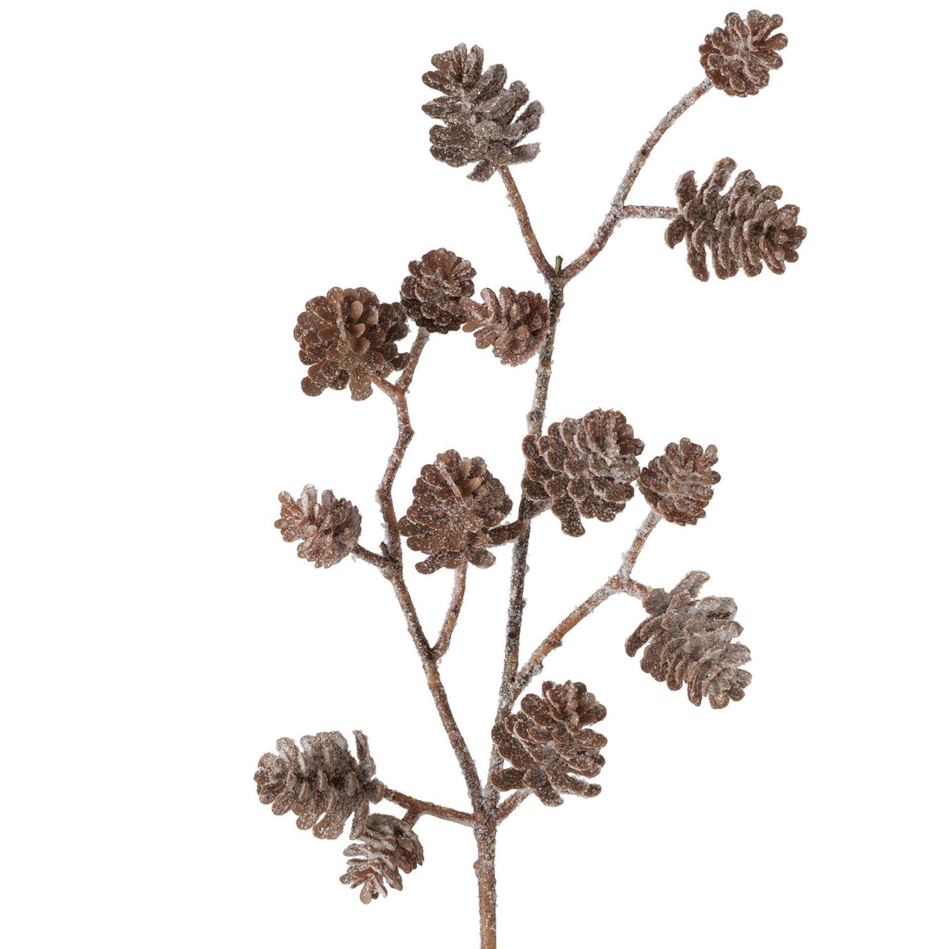 Boltze home branche artificielle pomme de pin enneigée h50cm