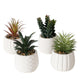 Plante artificielle Boltze home en pot blanc h14cm