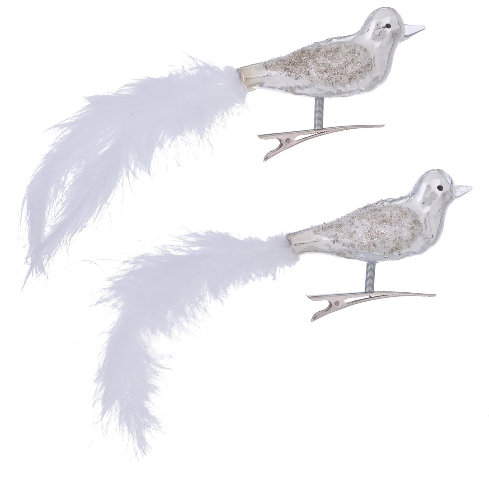 Boltze home oiseau sur verre à clip lot de 2 argent