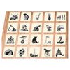 Noms de code White Goblin Games: Pictures