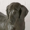 Boltze home figurine teckel noir 38x24cm