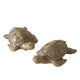 Boltze maison figurine tortue 4x6x2,5cm