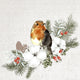Serviettes Duni forêt de robin 24x24cm