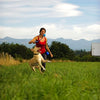 Chuckit Dog Toys the Whistler