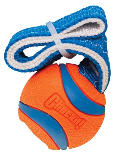 Chuckit ultra remorqueur