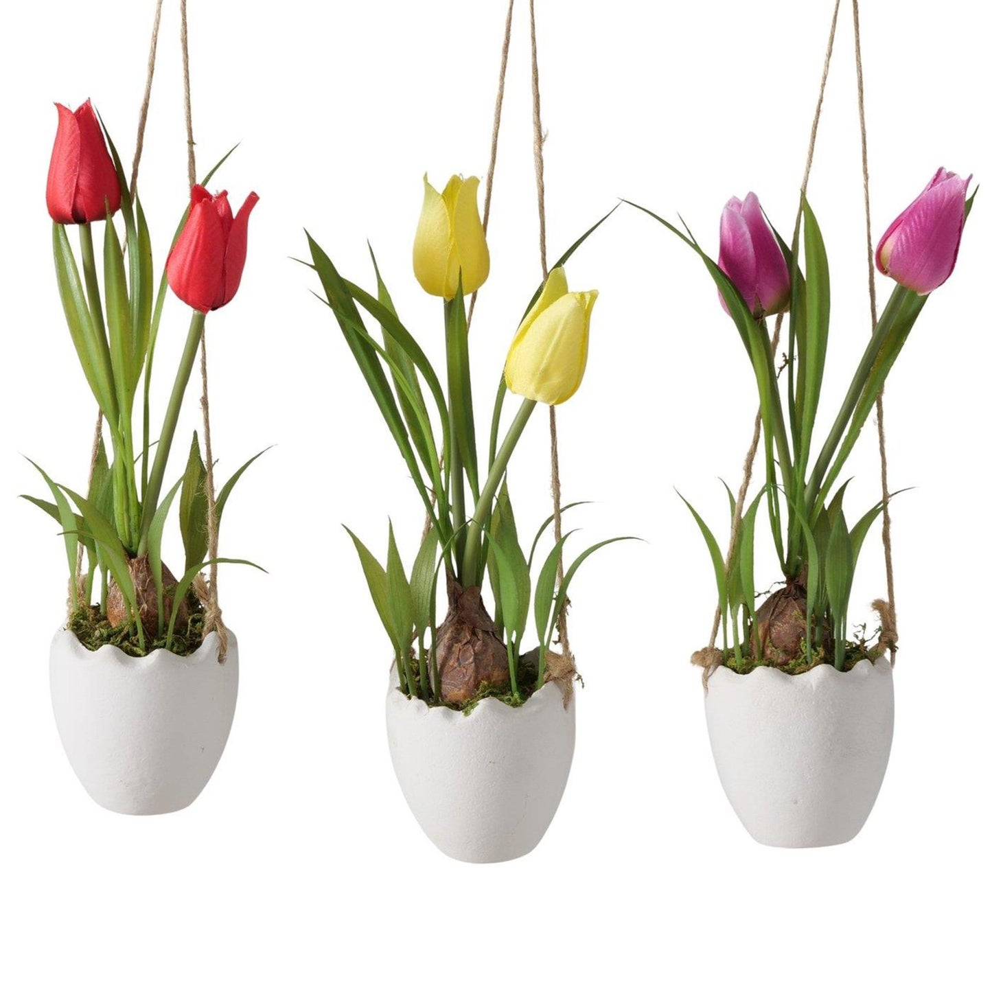 Boltze home plante en pot tulipe ø6xh23cm