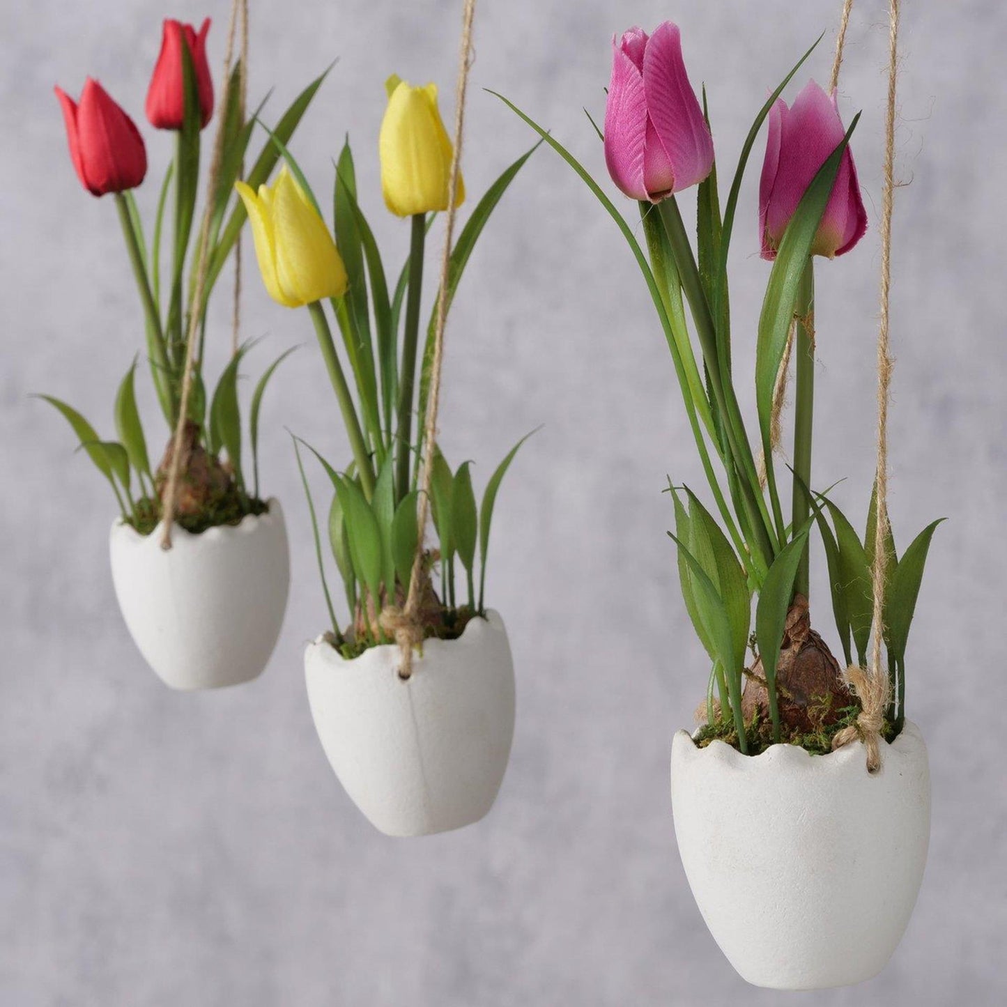 Boltze home plante en pot tulipe ø6xh23cm