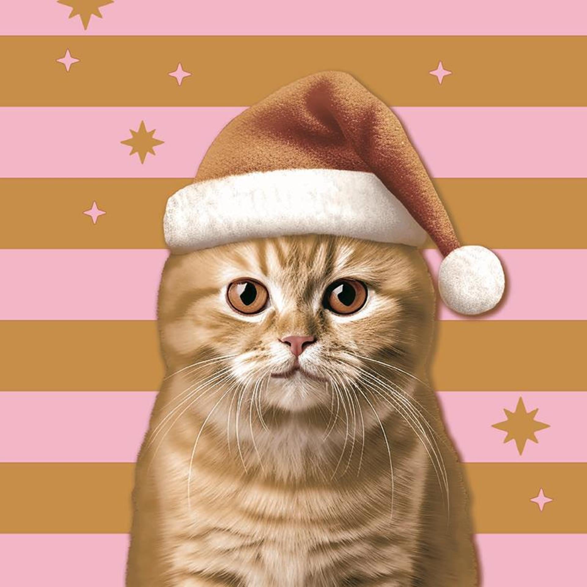 Serviettes Duni chat de Noël 33x33cm
