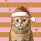 Serviettes Duni chat de Noël 33x33cm