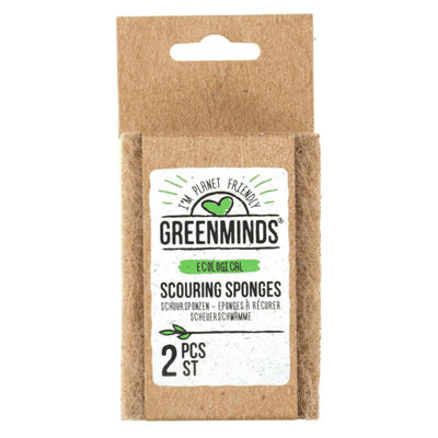 Greenminds tampons à récurer 2 pièces
