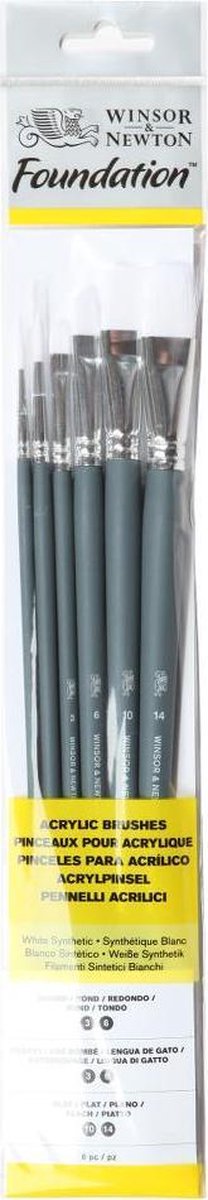 Winsor Newton 5295008 Ensemble de pinceaux acryliques pour fondation – Manche long – 6 pièces (ronds, plats Filbert) pour peinture à l'huile acrylique