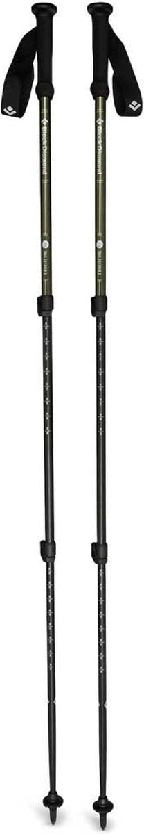 Bâtons de randonnée Black Diamond Explorer 3 - légers et réglables