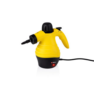 Nettoyeur vapeur portatif