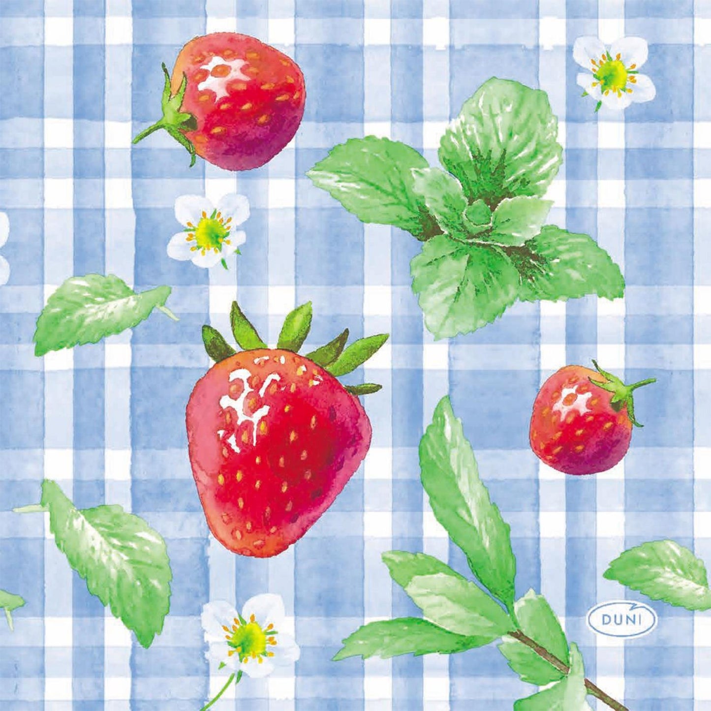 Serviettes Duni pique-nique fraise 24x24cm