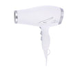 Lentz Föhn 74306 blanc