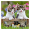 Ravensburger Puzzle Puzzle Young Kittens, 3x49st.