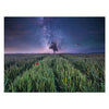 Ravensburger Jigsaw Puzzle Night Him.Uber Dem Kornfeld, 1500st.
