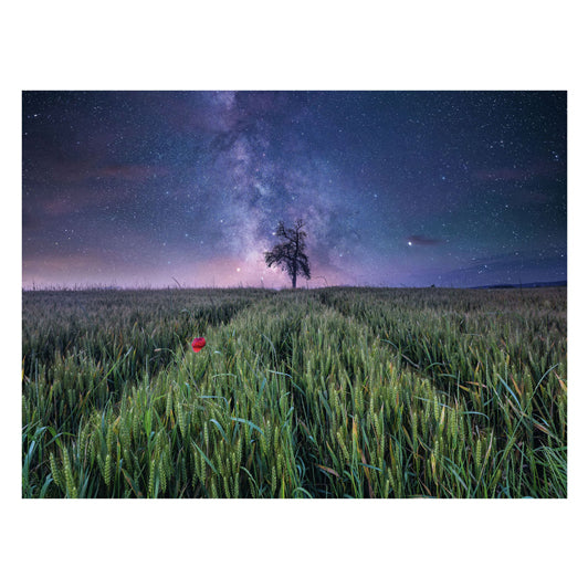 Ravensburger Jigsaw Puzzle Night Him.Uber Dem Kornfeld, 1500st.