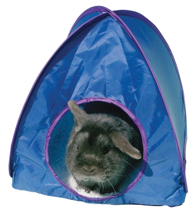 Assorti pop-up de tente de rongeur en palissandre
