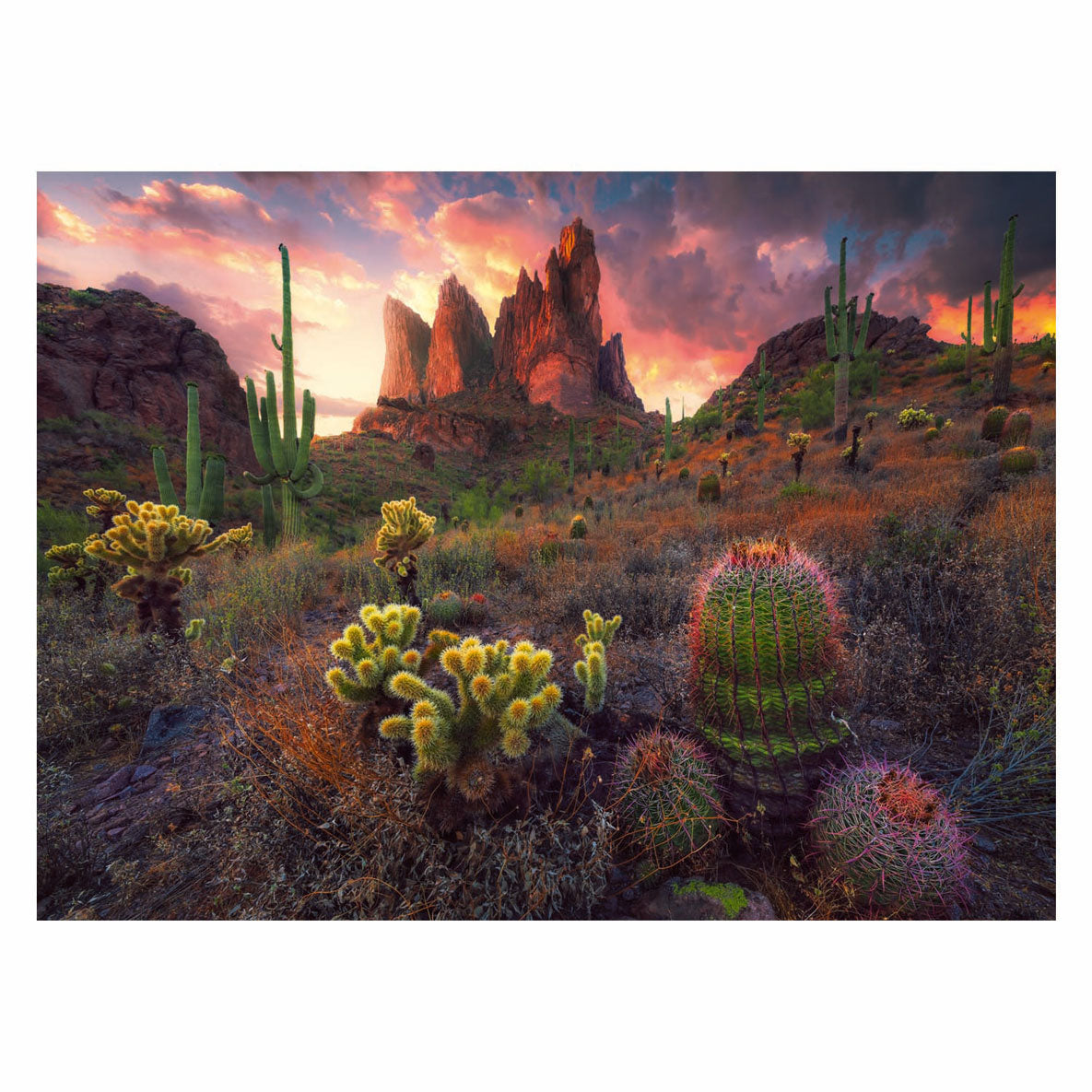 Ravensburger Puzzle Puzzle Cactus, 500e.