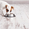 Happy Pet Nourning Bucket Anti -slip Spaniel