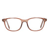 Spectre Spectrum Lunettes de lecture Brown Transparent 3.00