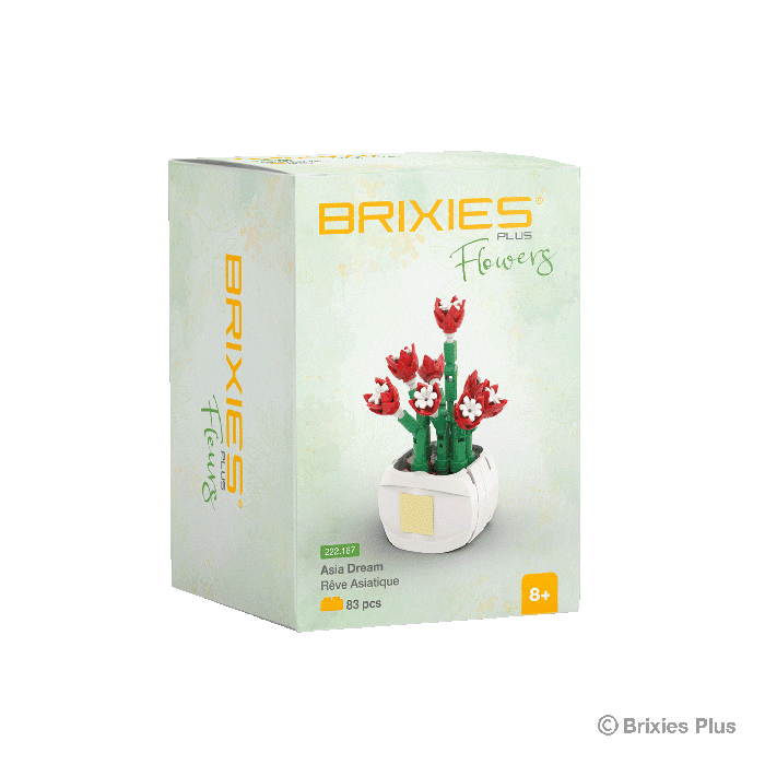 Brixies Oku et blocs de construction de fleurs