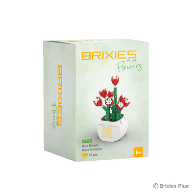 Blocs de construction Oku Brixies Plus Flower Asia Dream