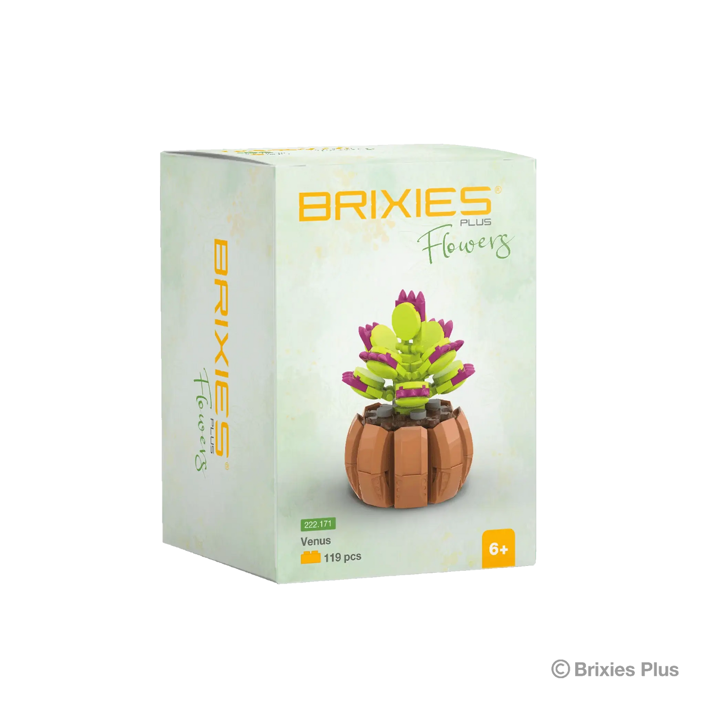 Oku brixies plus blocs de construction fleur vénus 119 pièces