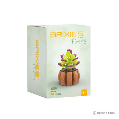 Oku brixies plus blocs de construction fleur vénus 119 pièces
