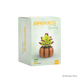 Oku brixies plus blocs de construction fleur vénus 119 pièces
