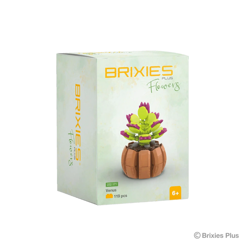 Oku brixies plus blocs de construction fleur vénus 119 pièces