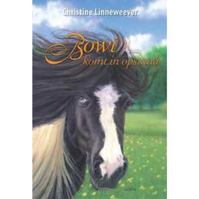Golden Horses Golden Golden Publisher: Bowi se révolte